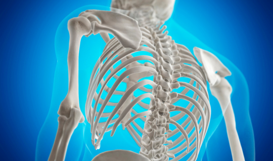 Best Bone Doctor in Bangalore